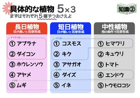 中性植物|中性植物(チュウセイショクブツ)とは？ 意味や使い方